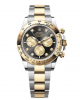 Rolex-Cosmograph Daytona-m126503-0002